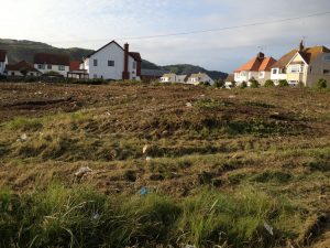 Phase 1 - Gorse_removal-1