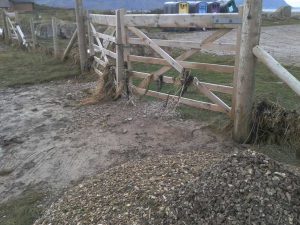 Phase 1 - Site Flood Aftermath